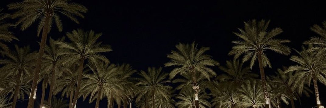 mahaq88__'s profile banner image
