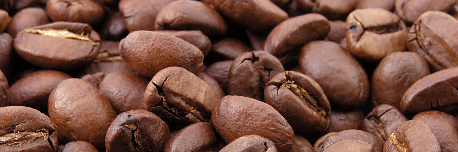 bread_n_coffee's profile banner image