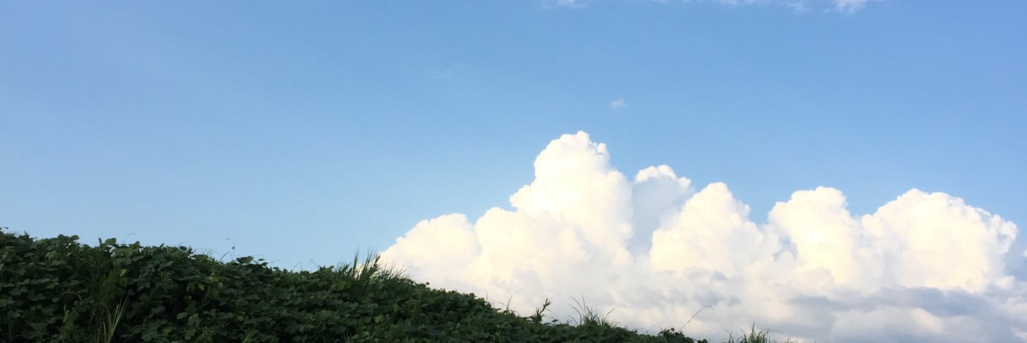 KoroIs's profile banner image