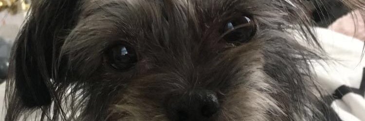 nodeew_'s profile banner image