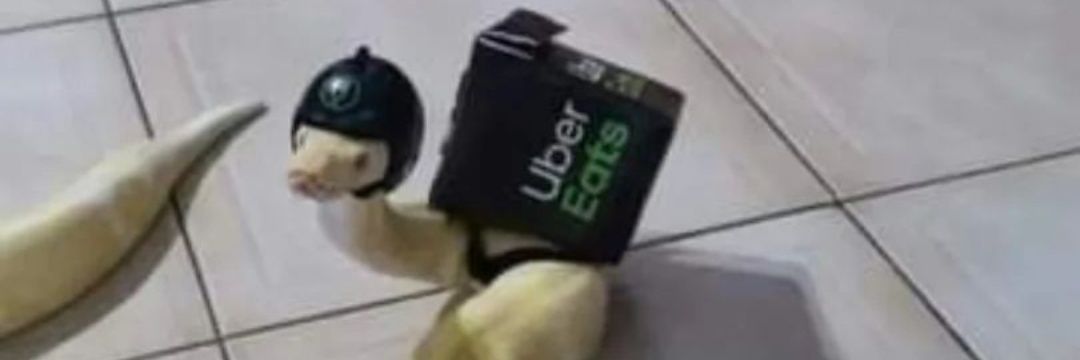 Equisde banner