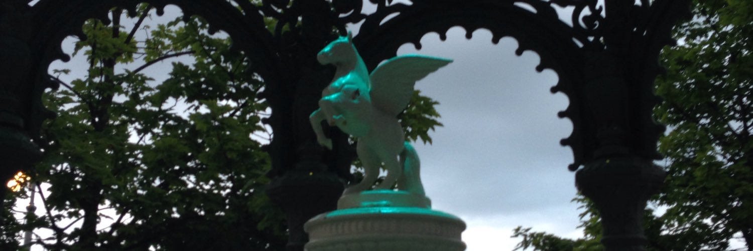 Dunlaith Bird banner