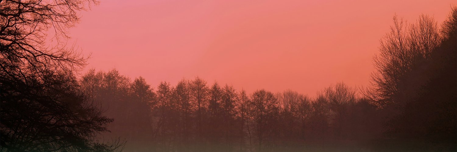 malphilmil's profile banner image