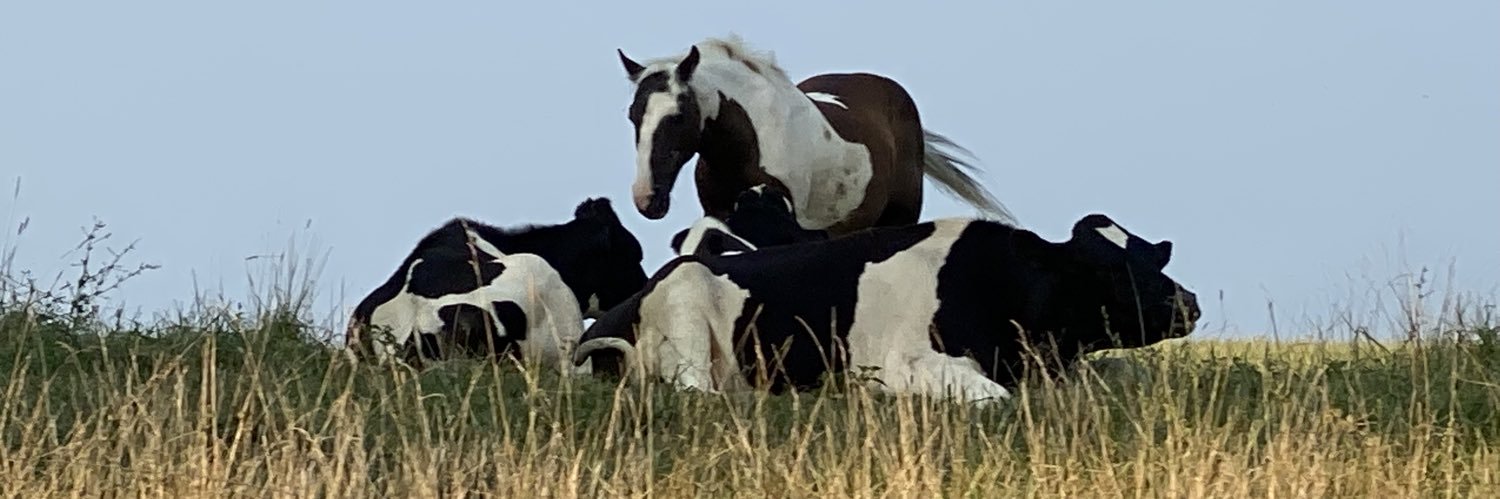 DelCoProud ☮️ banner