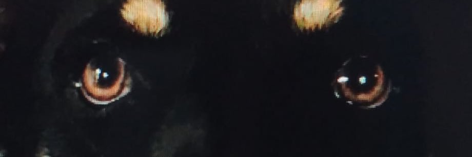 ch.0 banner
