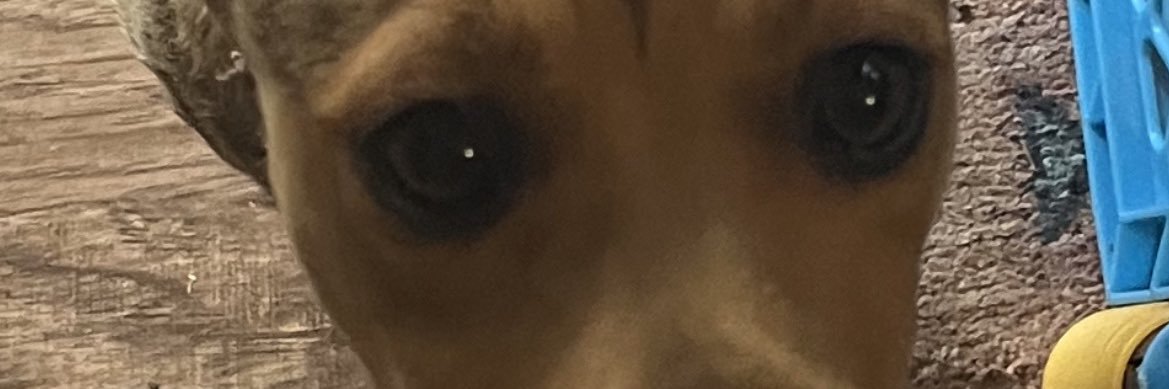 epicfreeforall2's profile banner image