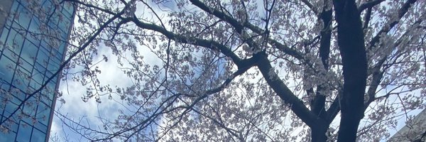 haruka_ft Profile Banner