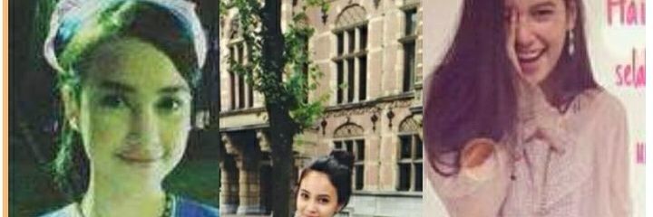 bunga_anjaniers's profile banner image