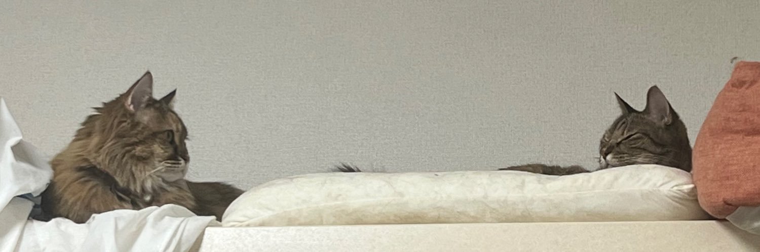 BBBrooown__'s profile banner image