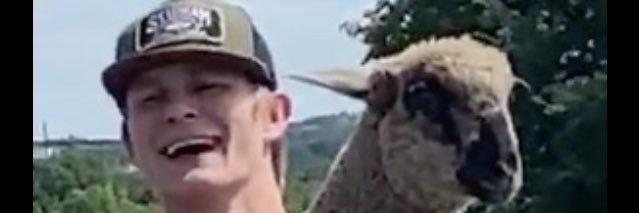 WaltMaenius's profile banner image