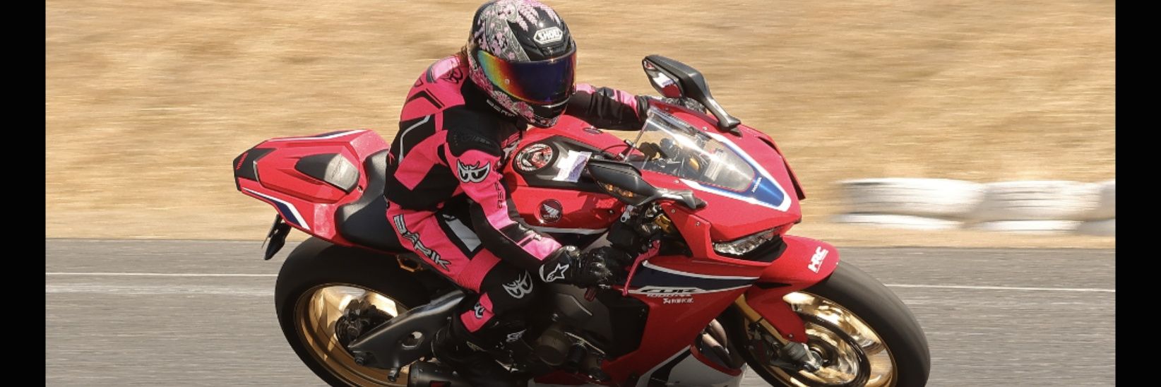 タレちゃん🏍 banner