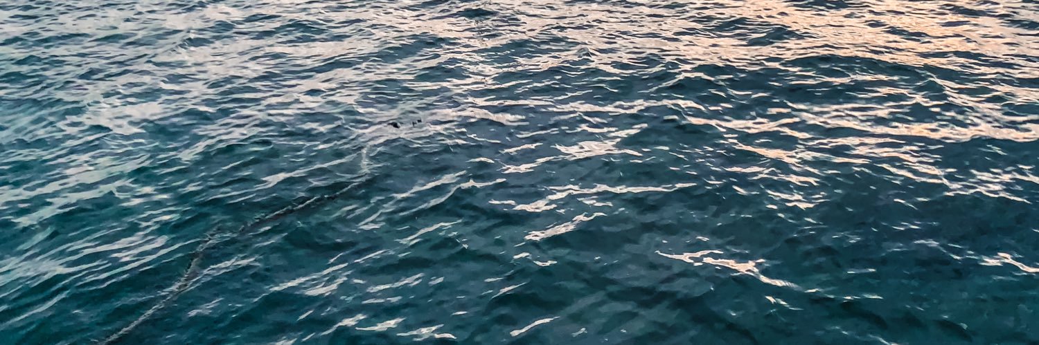 notlarried's profile banner image