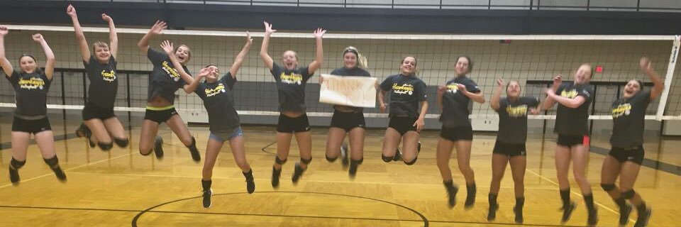 Hawkeye Volleyball banner