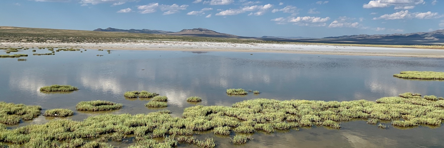 Stephen Coats banner