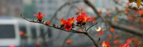 wwk4448's profile banner image