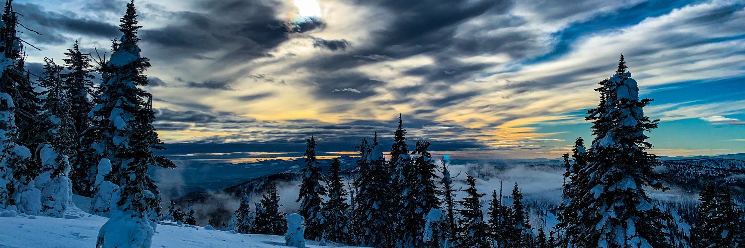 mitcholl's profile banner image