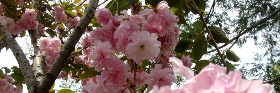 Artemis_In_Love's profile banner image