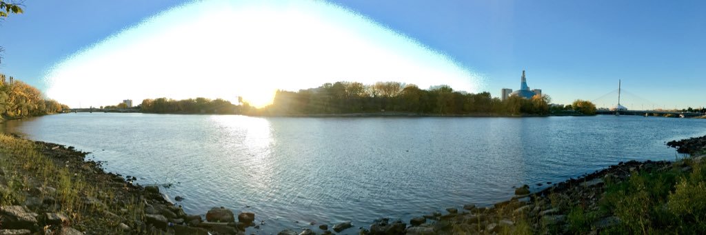 Matt Gottfried banner