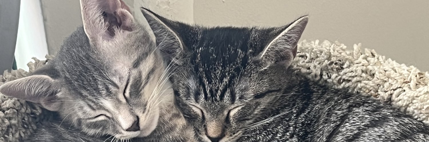 Kayronthedawn's profile banner image