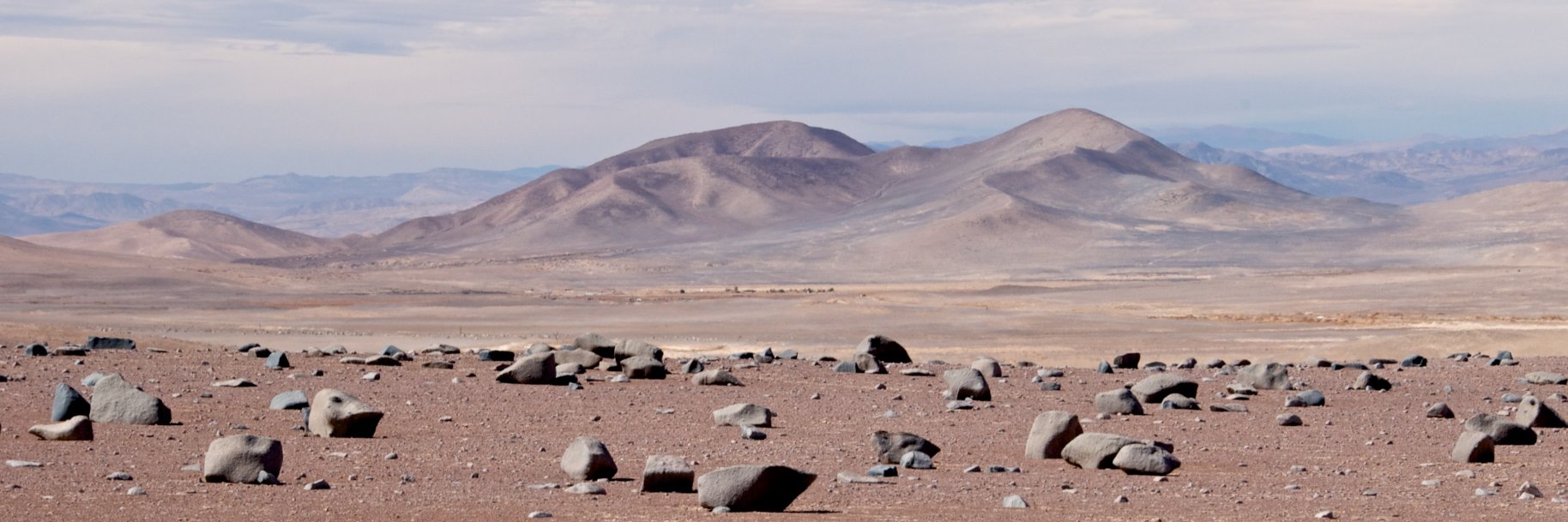 Jocelyne DiRuggiero banner