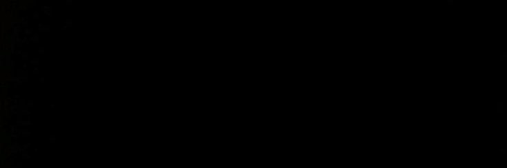 shern banner