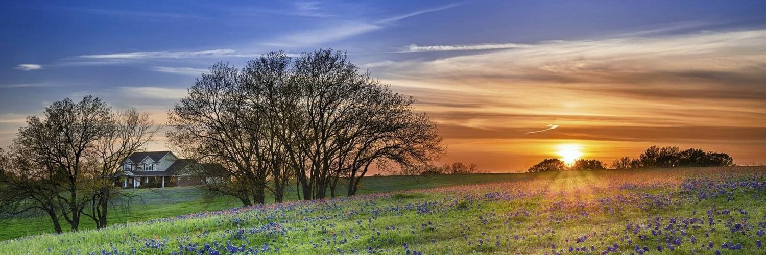 Meadows Foundation banner