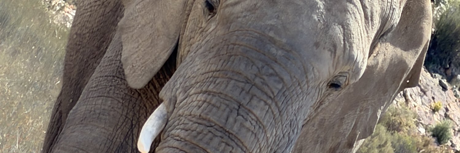 chauhanv's profile banner image