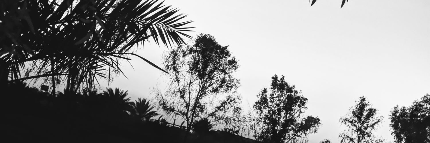 othmanj241's profile banner image