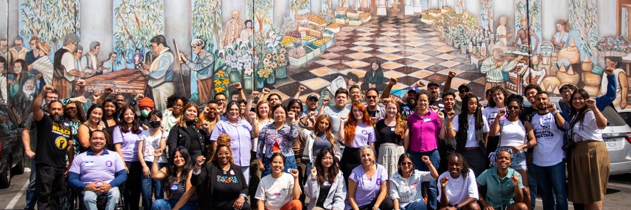 Million Voters Project banner