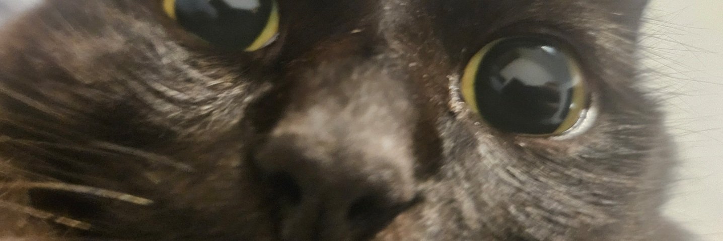 immfr's profile banner image