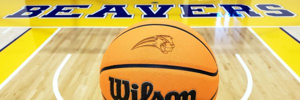 thepgbeavers Profile Banner