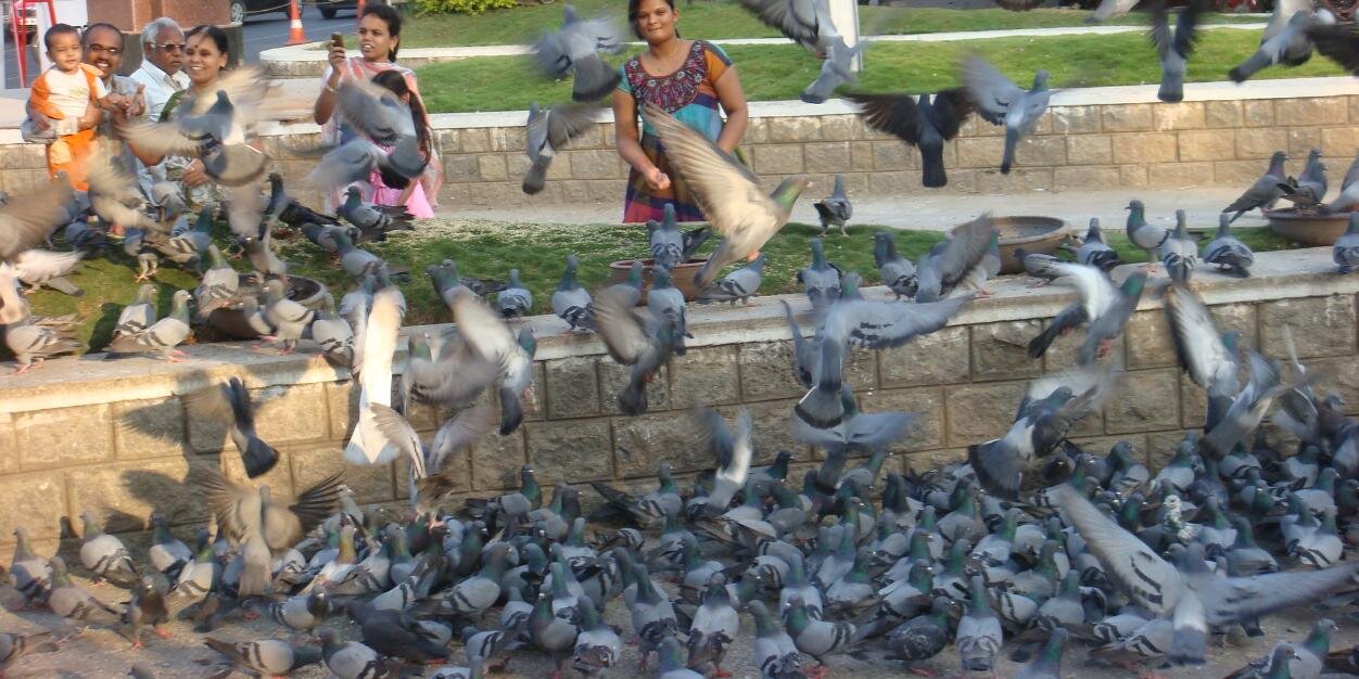 shashimail2's profile banner image