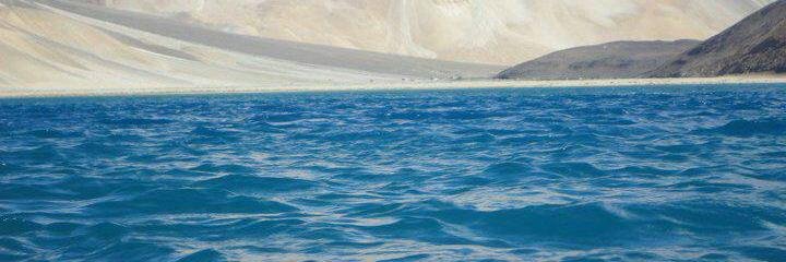 npawle's profile banner image