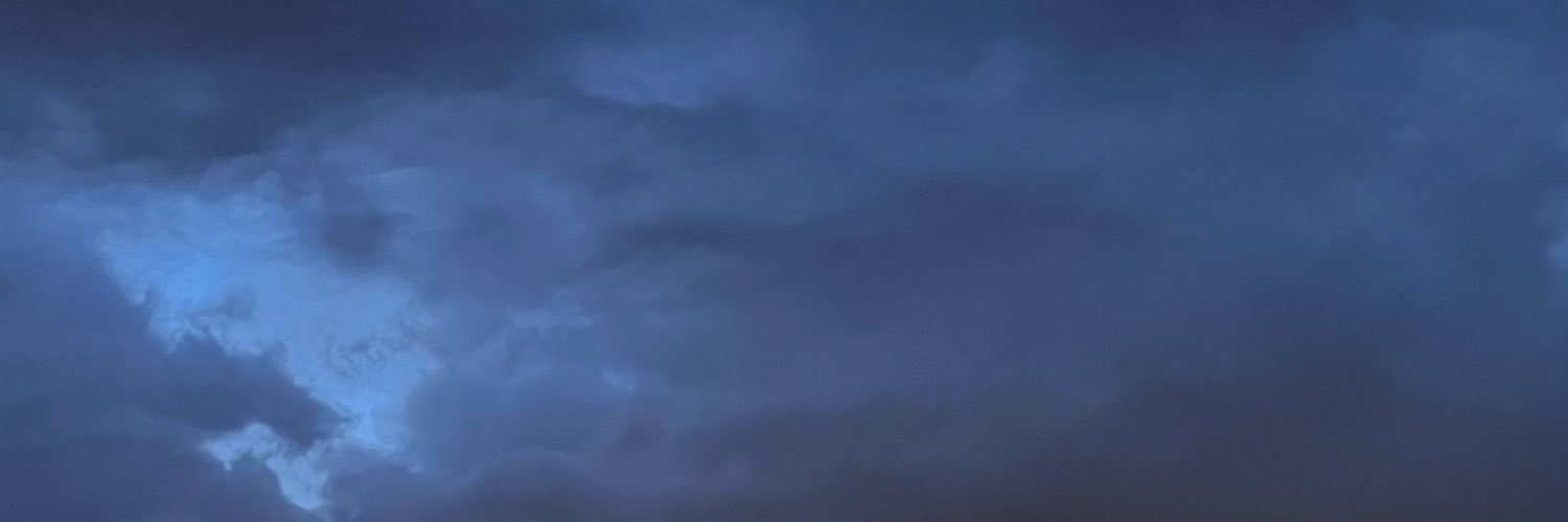 ashleychoi___'s profile banner image