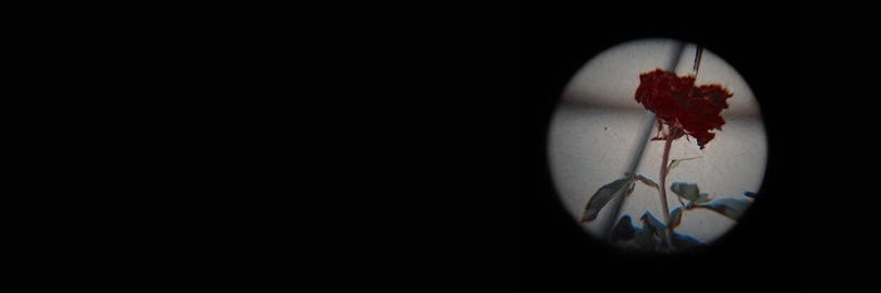 aspen ❁ banner
