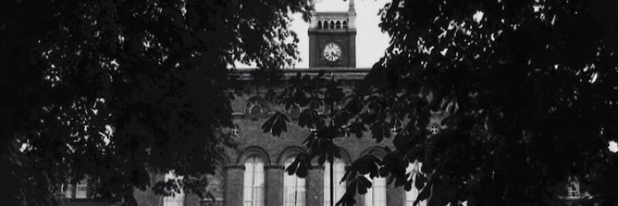 Kid In The Corner banner