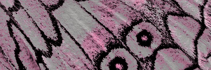 DamagedDiviner's profile banner image