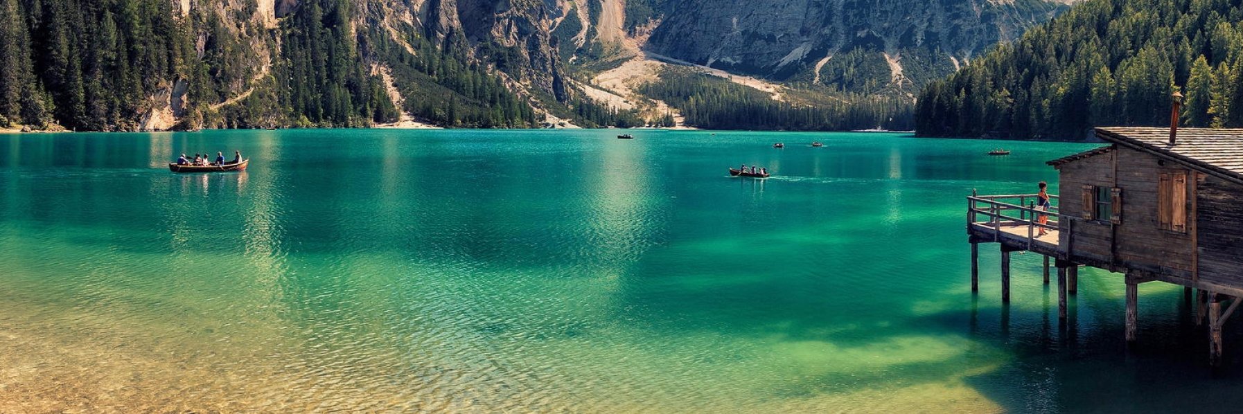 David Alberdi banner