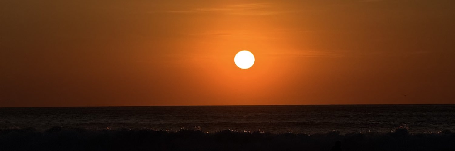 Nicole Villalobos banner