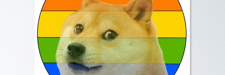 StephRogel's profile banner image