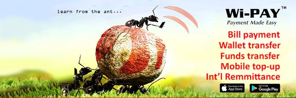 WiPAY_NG Profile Banner