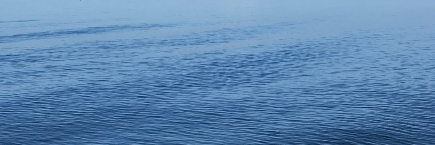 riley_m_10's profile banner image