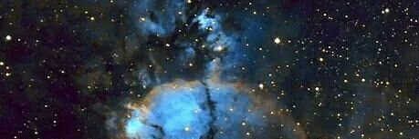 VenomousDuck17🦆 banner