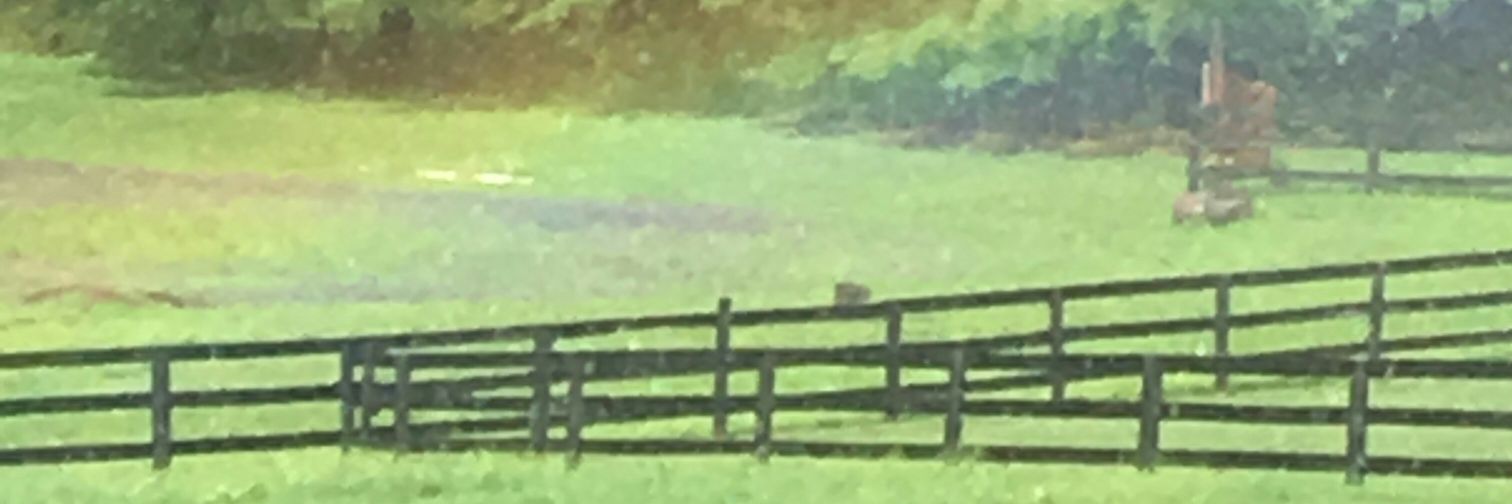 Kathleen Johnson banner