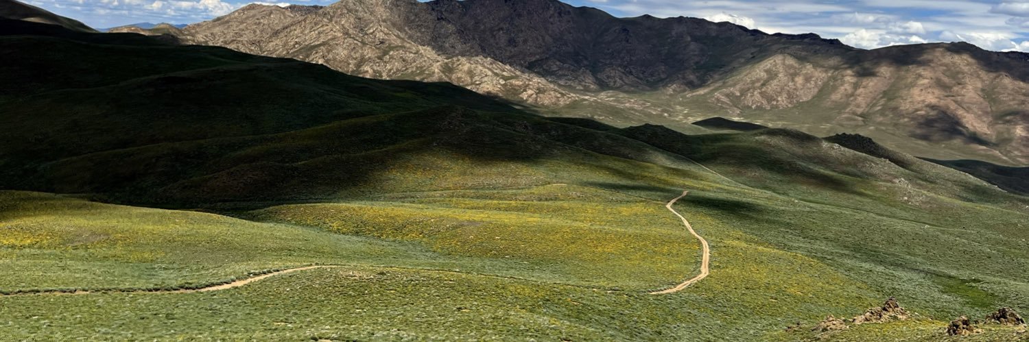 Bri Yan ✌️ banner