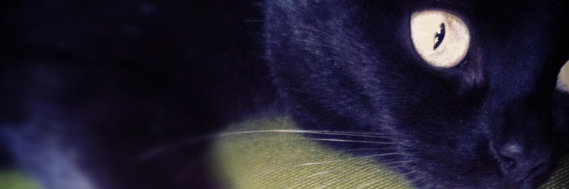 LukejLukejLukej's profile banner image