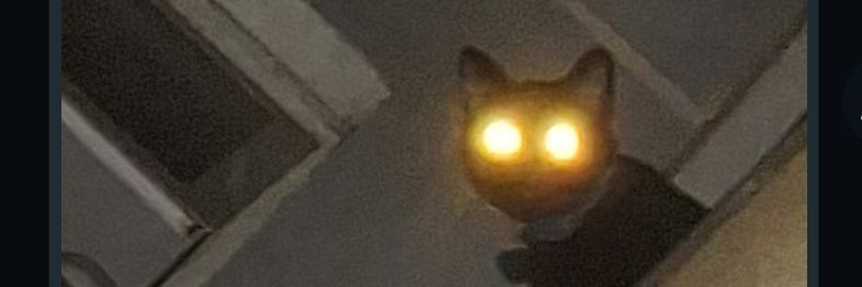 ddanidarko's profile banner image