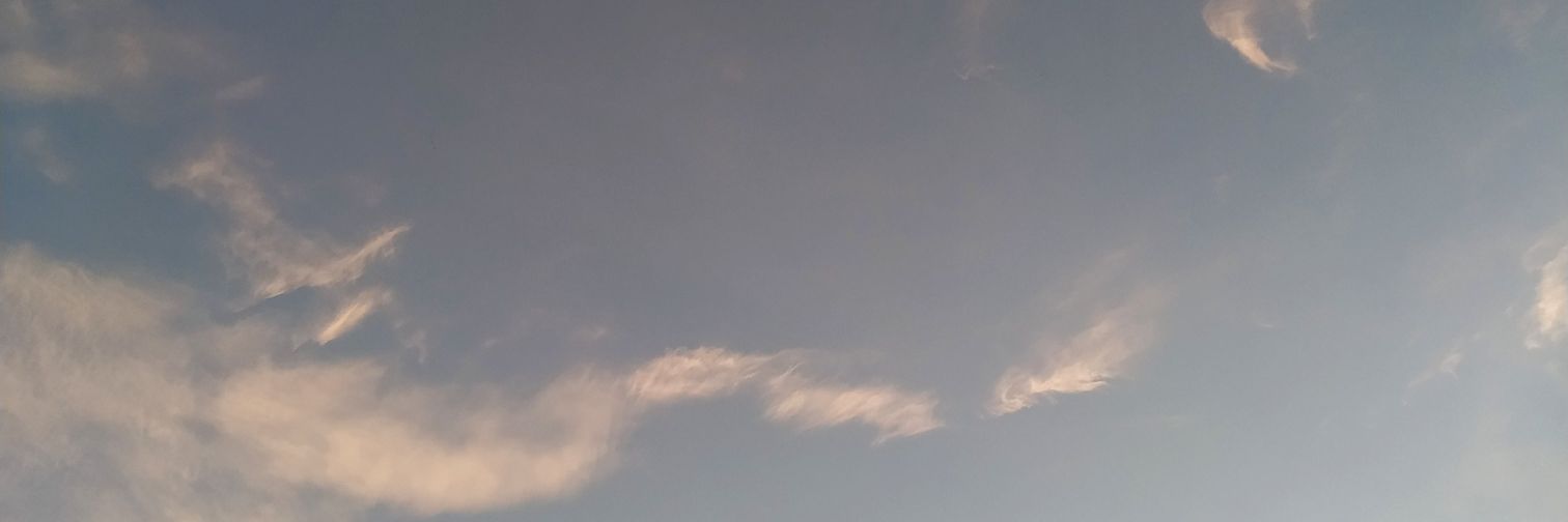 ฌ า ว า ฬ banner
