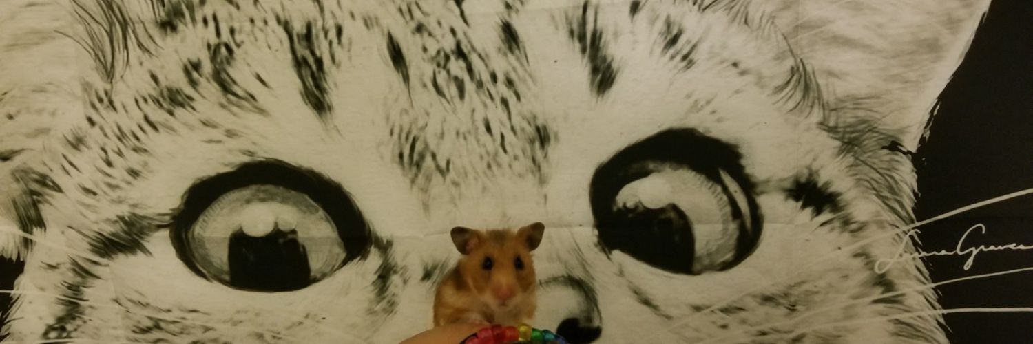 stephuhnoids's profile banner image