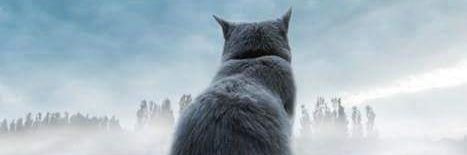 DFW_KAT's profile banner image